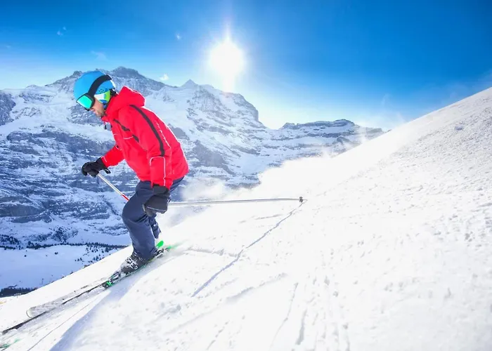 Allod Park Haus C 605 By Interhome Apartmán Davos